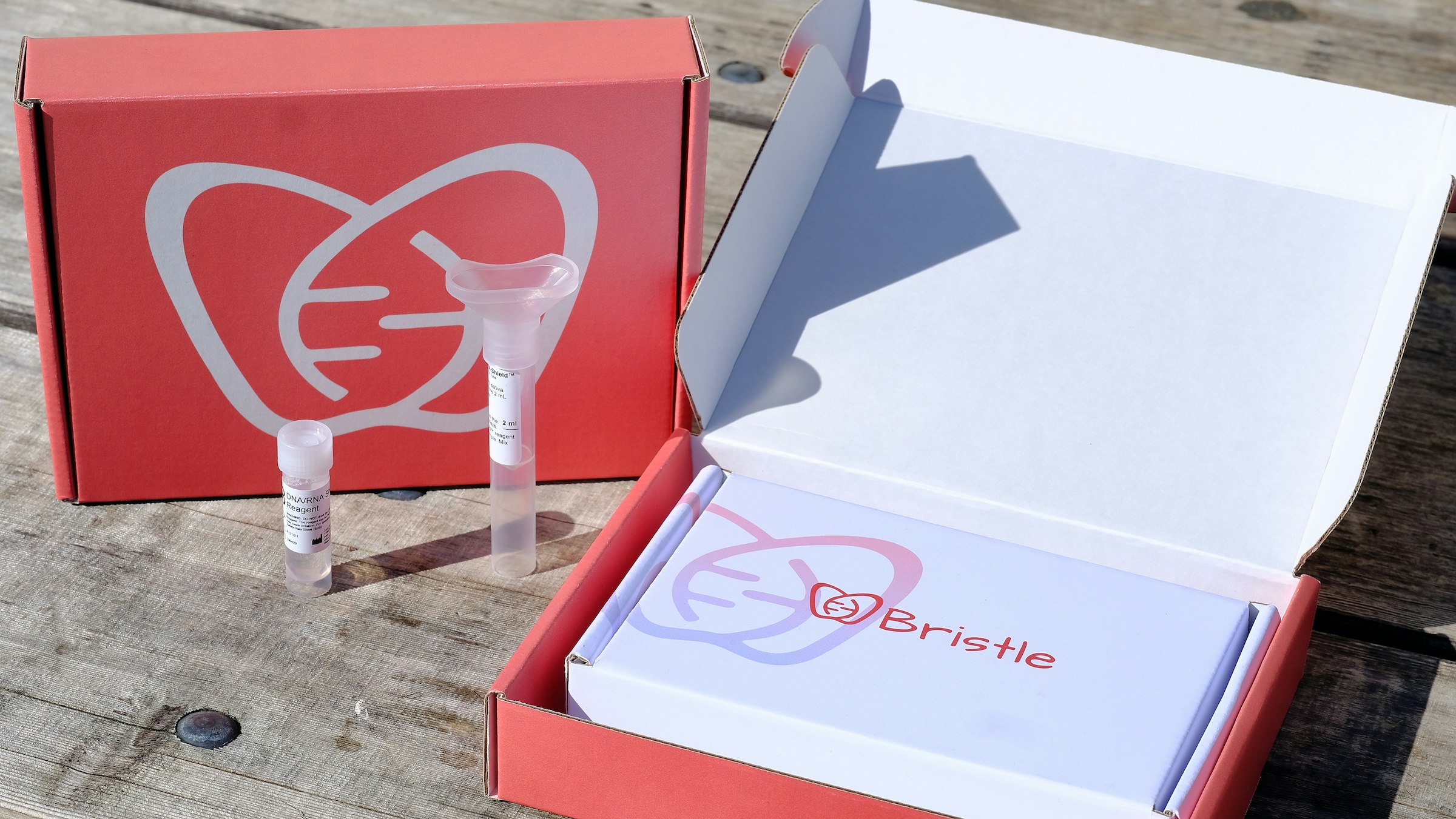 Bristle gallery image