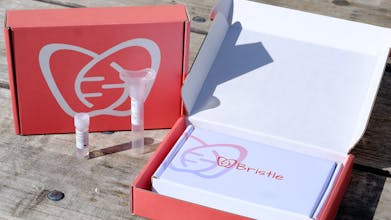 Bristle gallery image