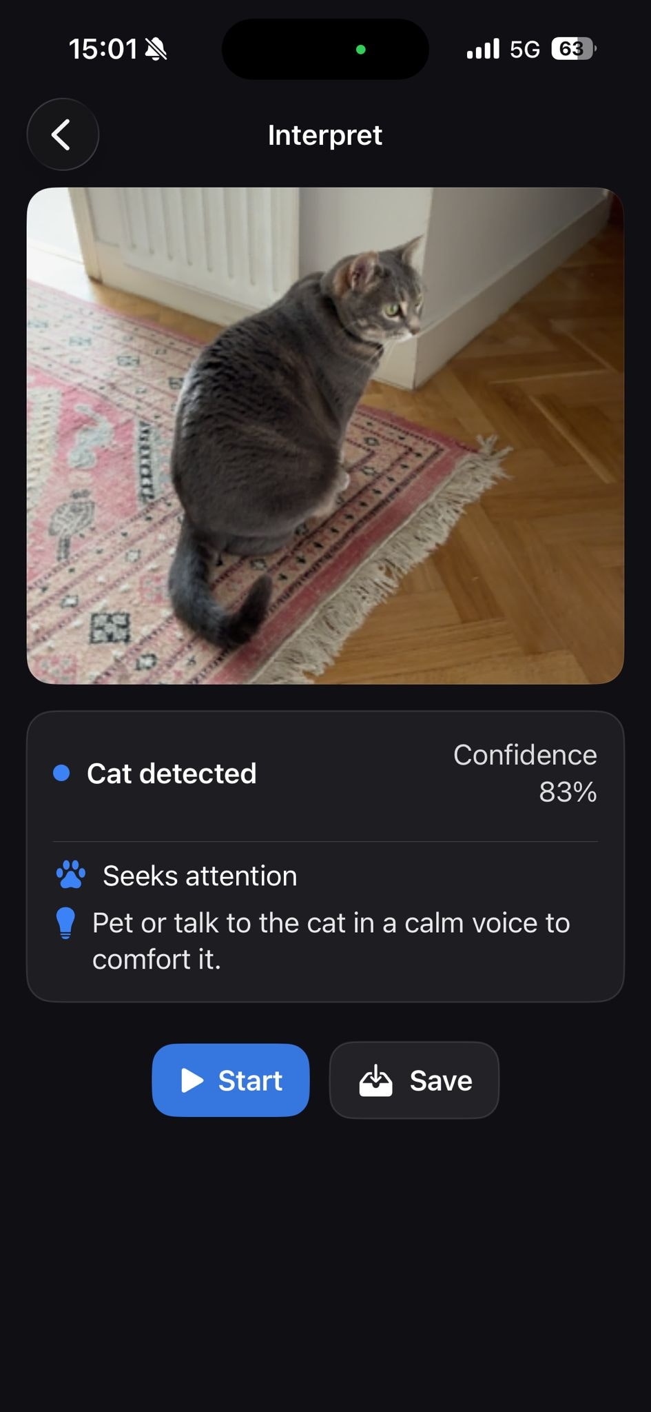 Cat Sense gallery image