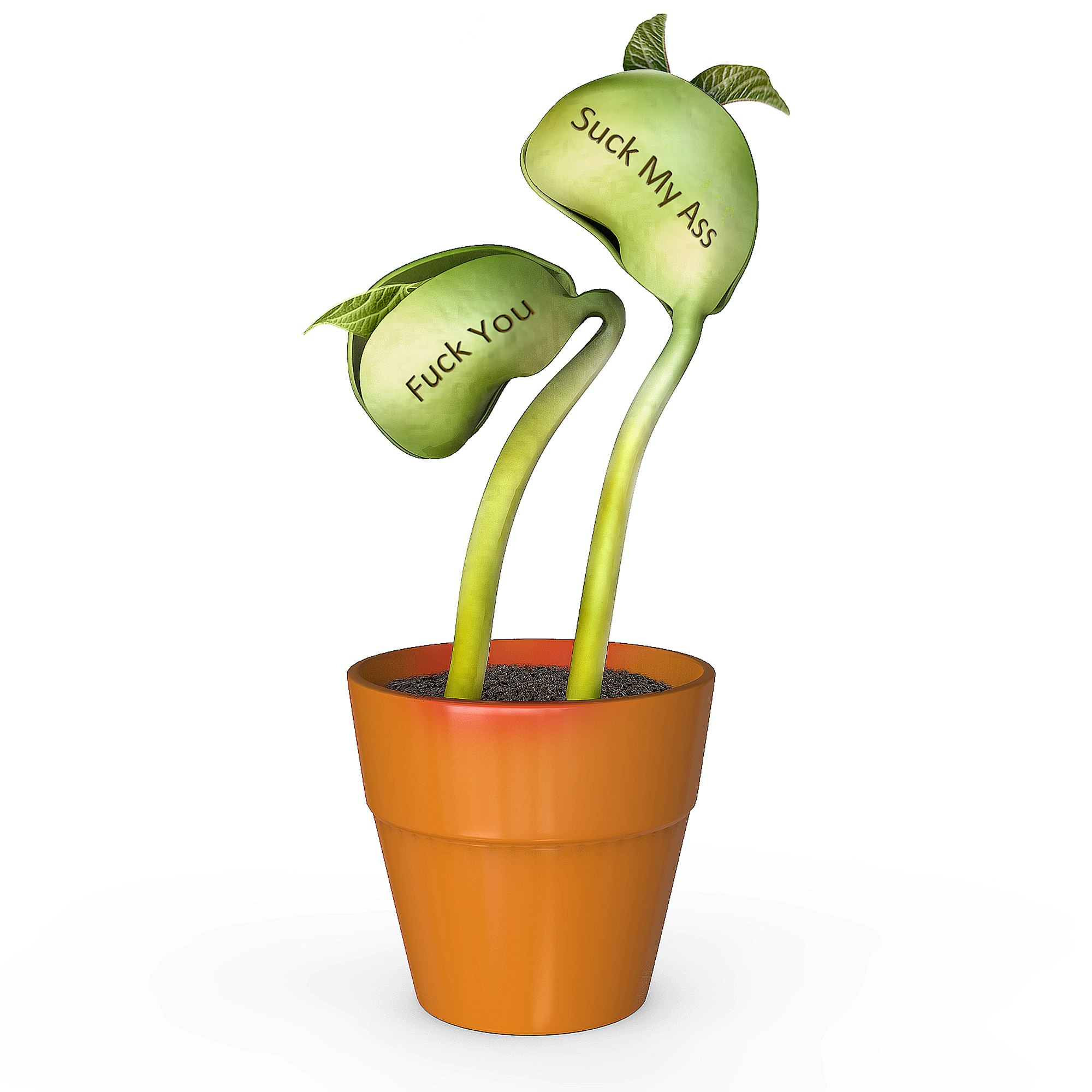 The Original F U Plant