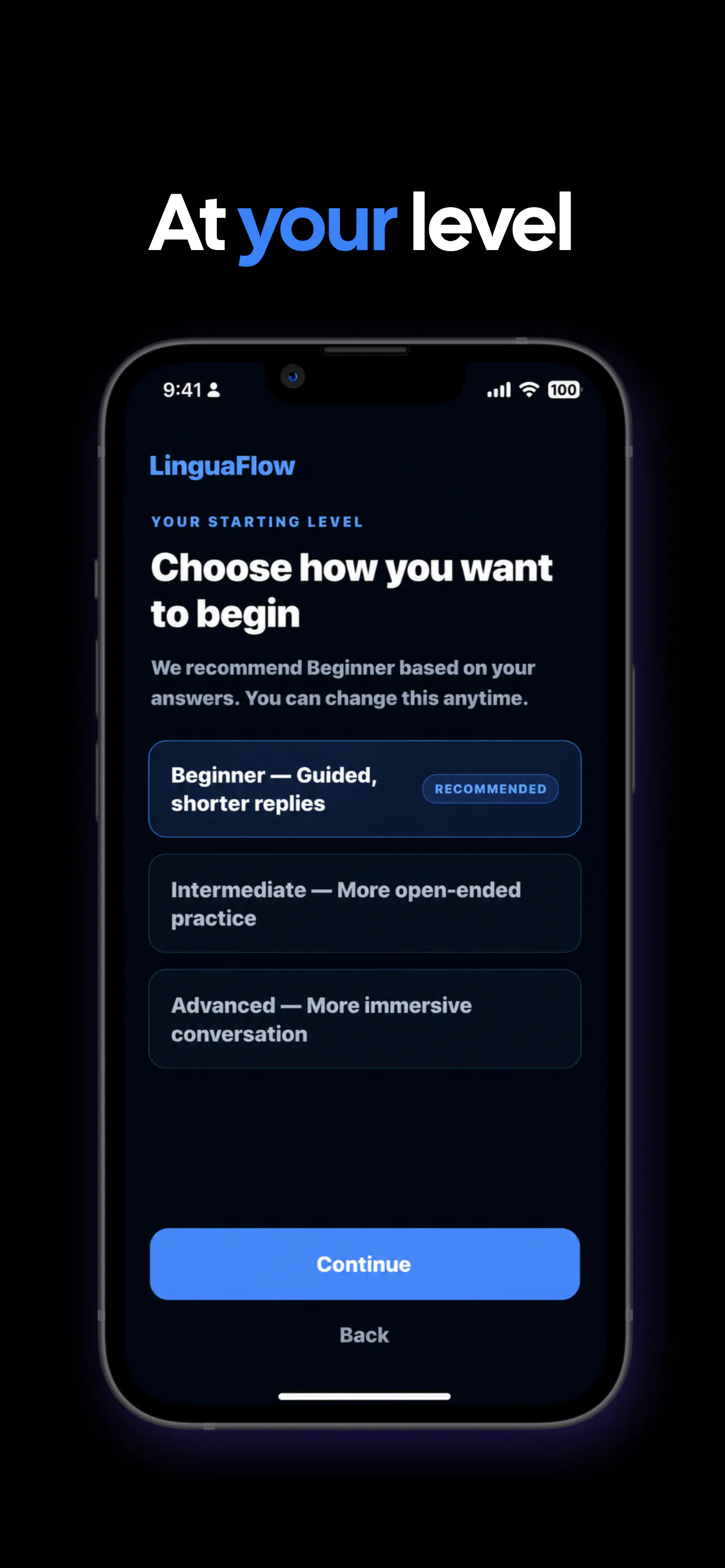 LinguaFlow gallery image