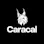 Caracal