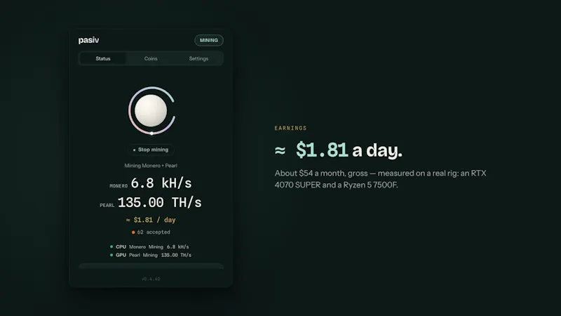 Pasiv screenshot 1 (video preview)