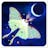 Flutter: Starlight