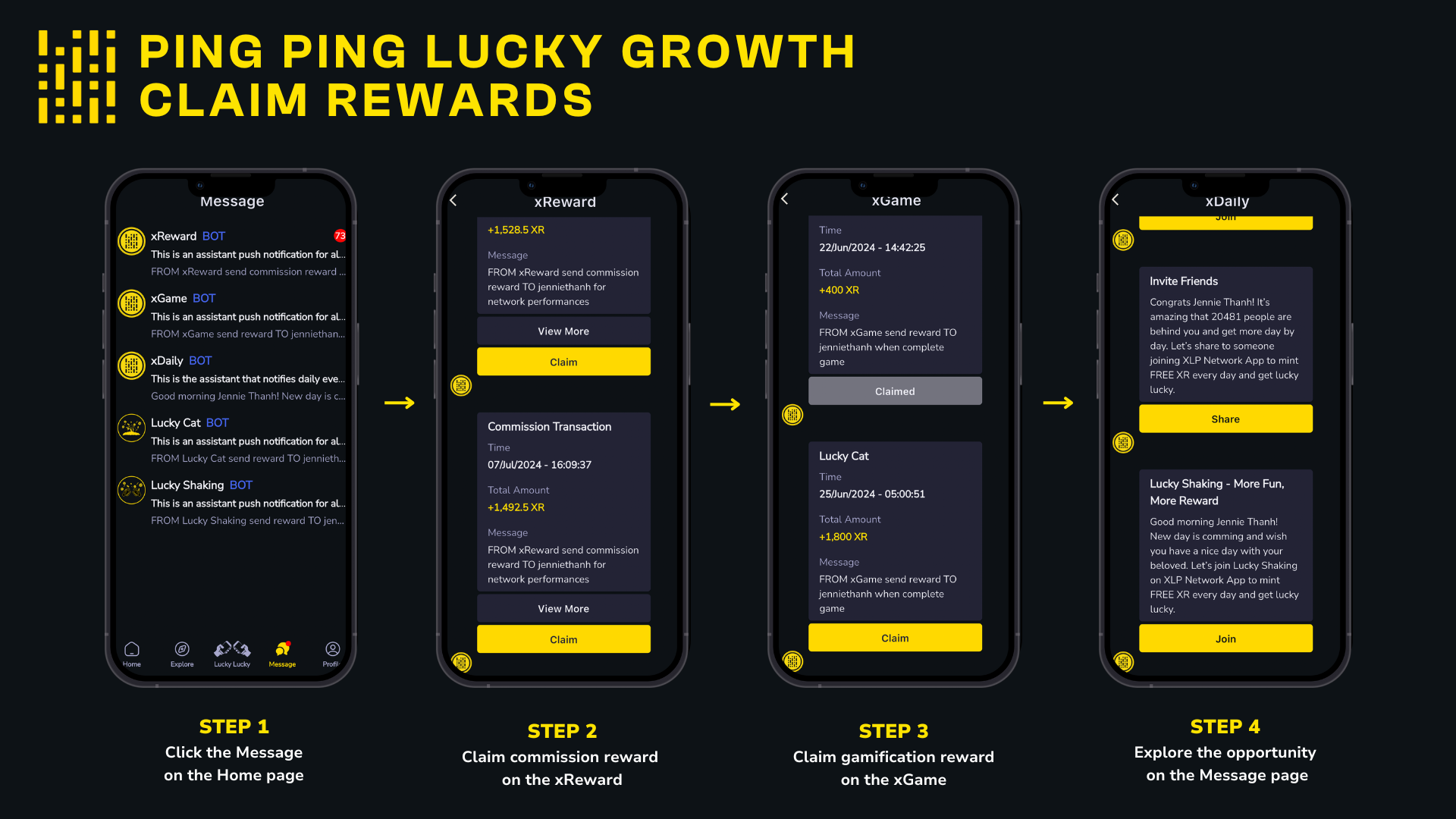 xLP Network gallery image