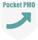 Pocket PMO (Project Management Office)