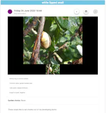 GardenerPlanet gallery image