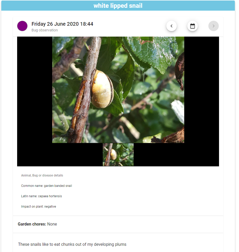 GardenerPlanet - Make local planting calendars together and share plant info media 4