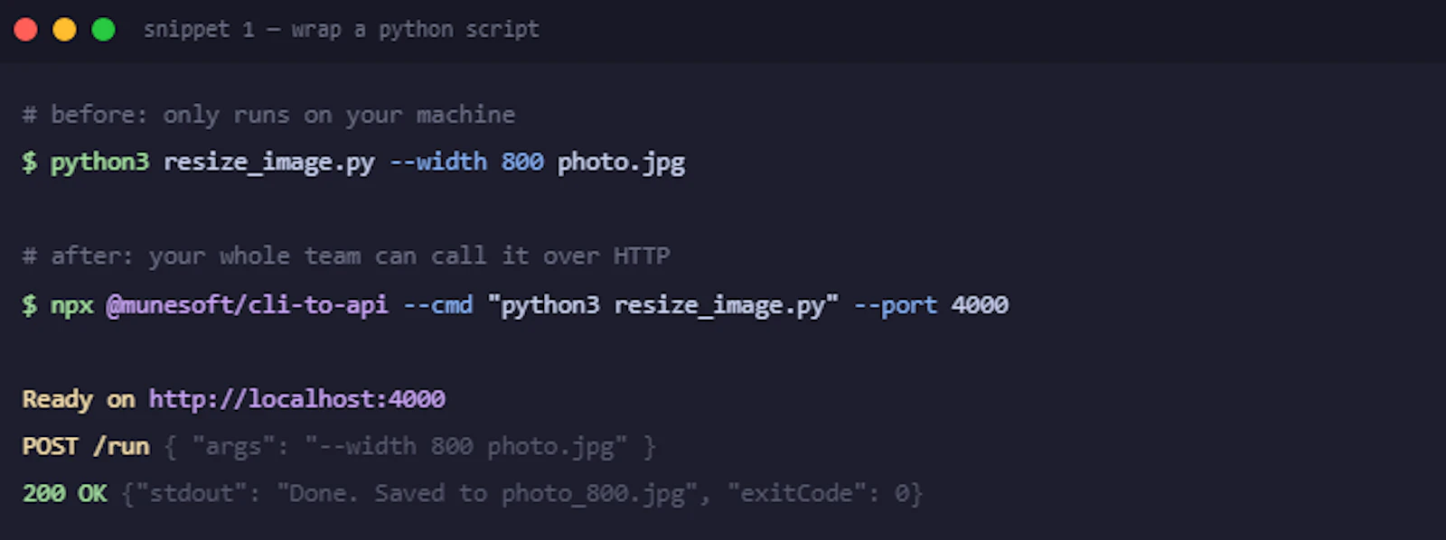 cli-to-api screenshot 4