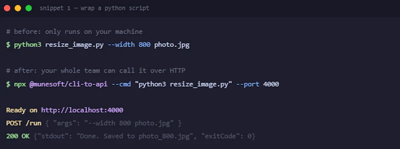 cli-to-api screenshot 4