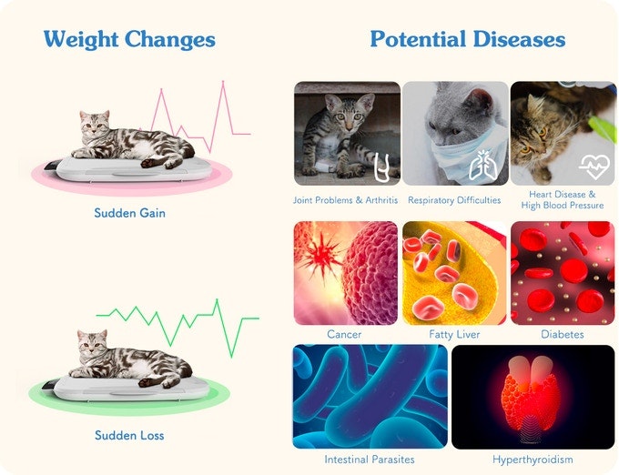 Wecare gallery image