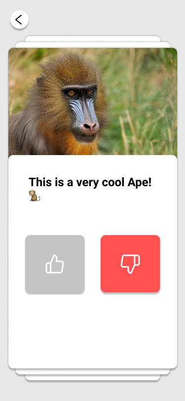 Quizium gallery image