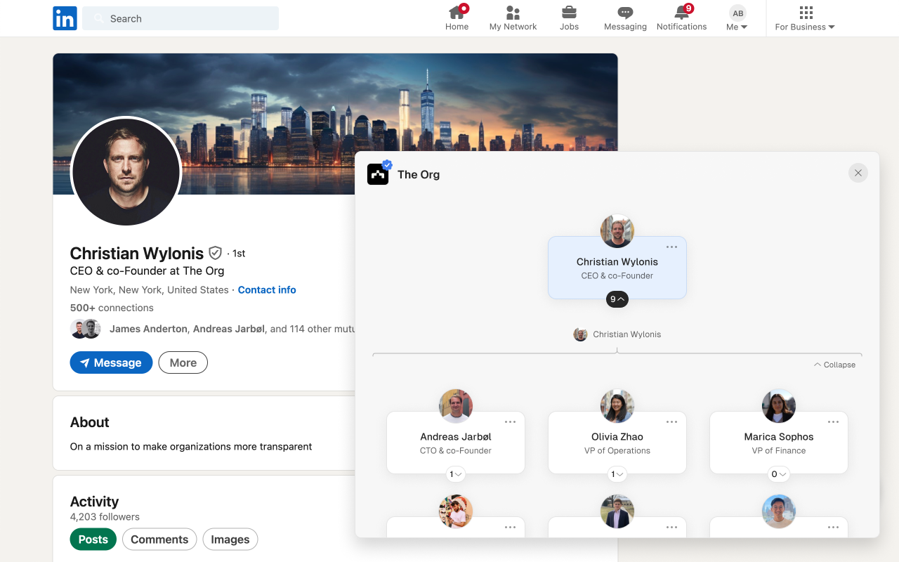 Org untuk LinkedIn media 2