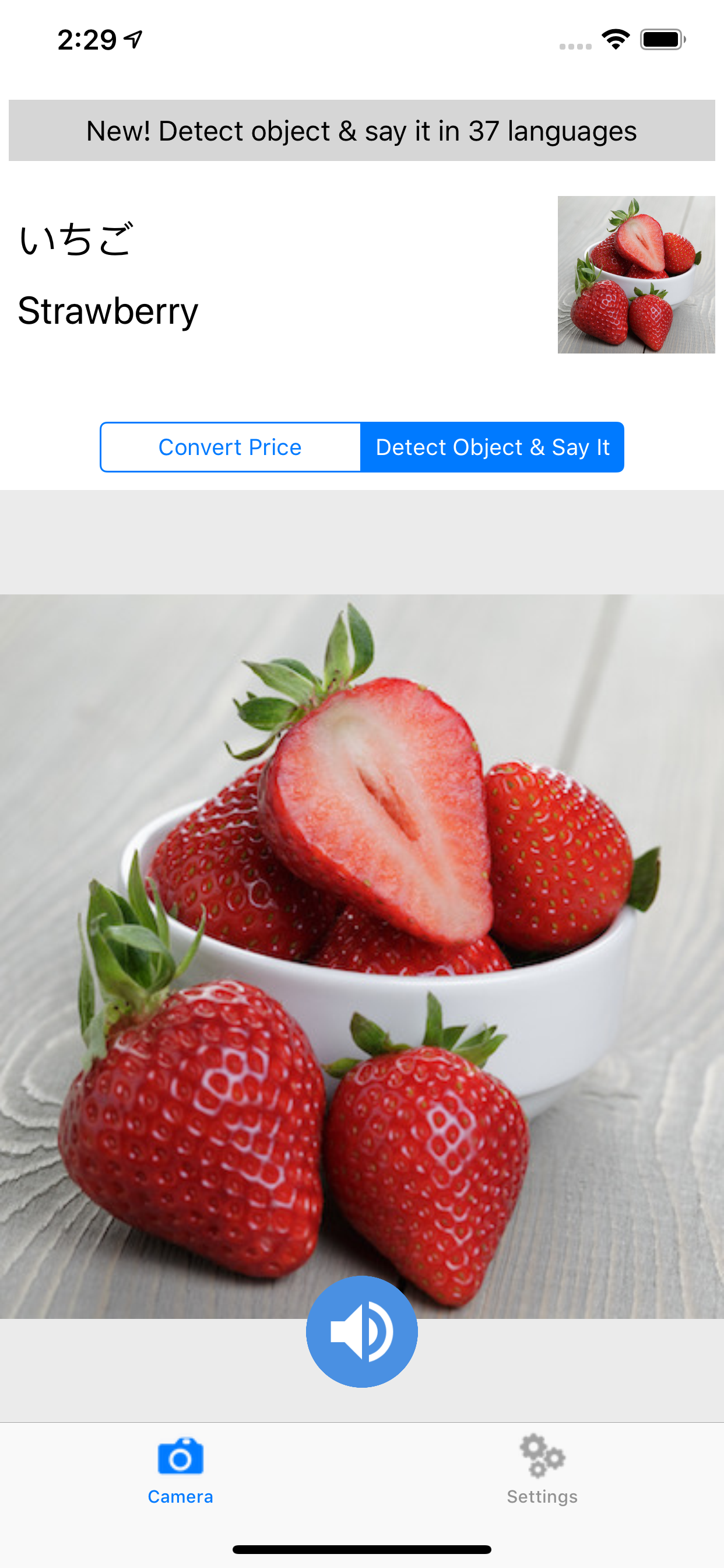 Travel Buddy gallery image