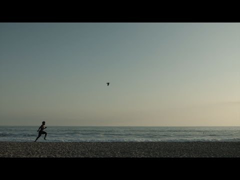 Promis gallery image