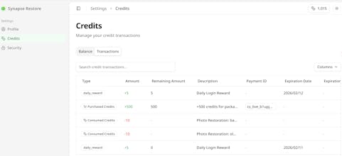 Synapse Restore gallery image