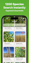 WeedScout - Weed Identifier gallery image