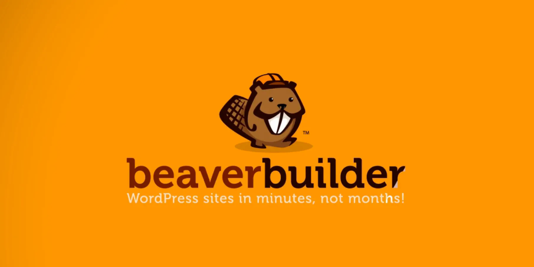 Beaver Builder Image
