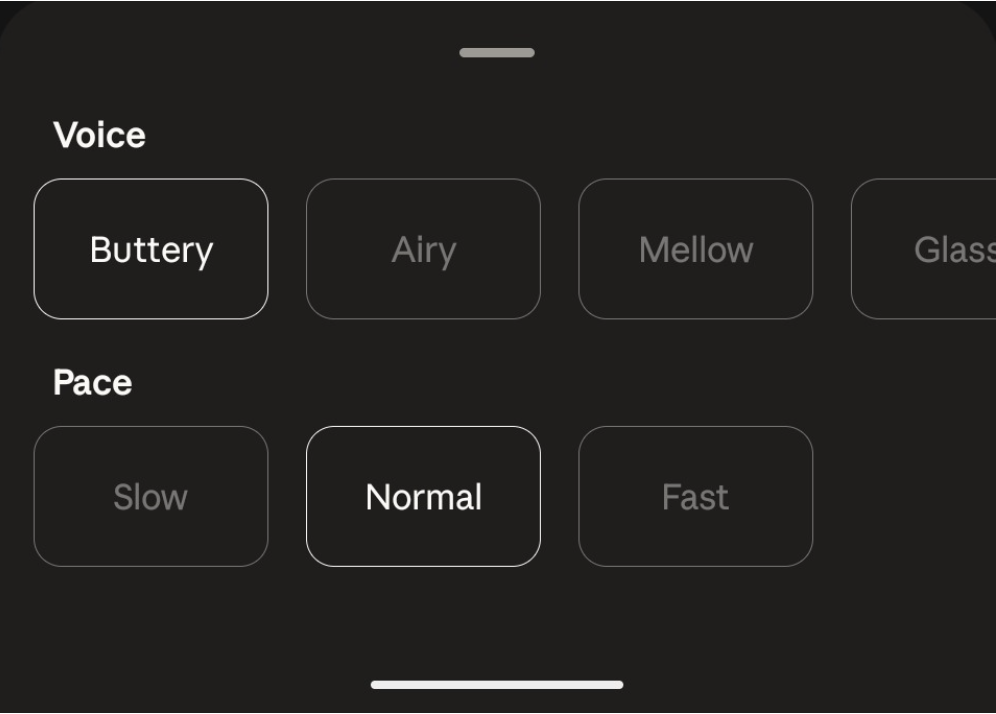 Claude Code Voice Mode gallery image