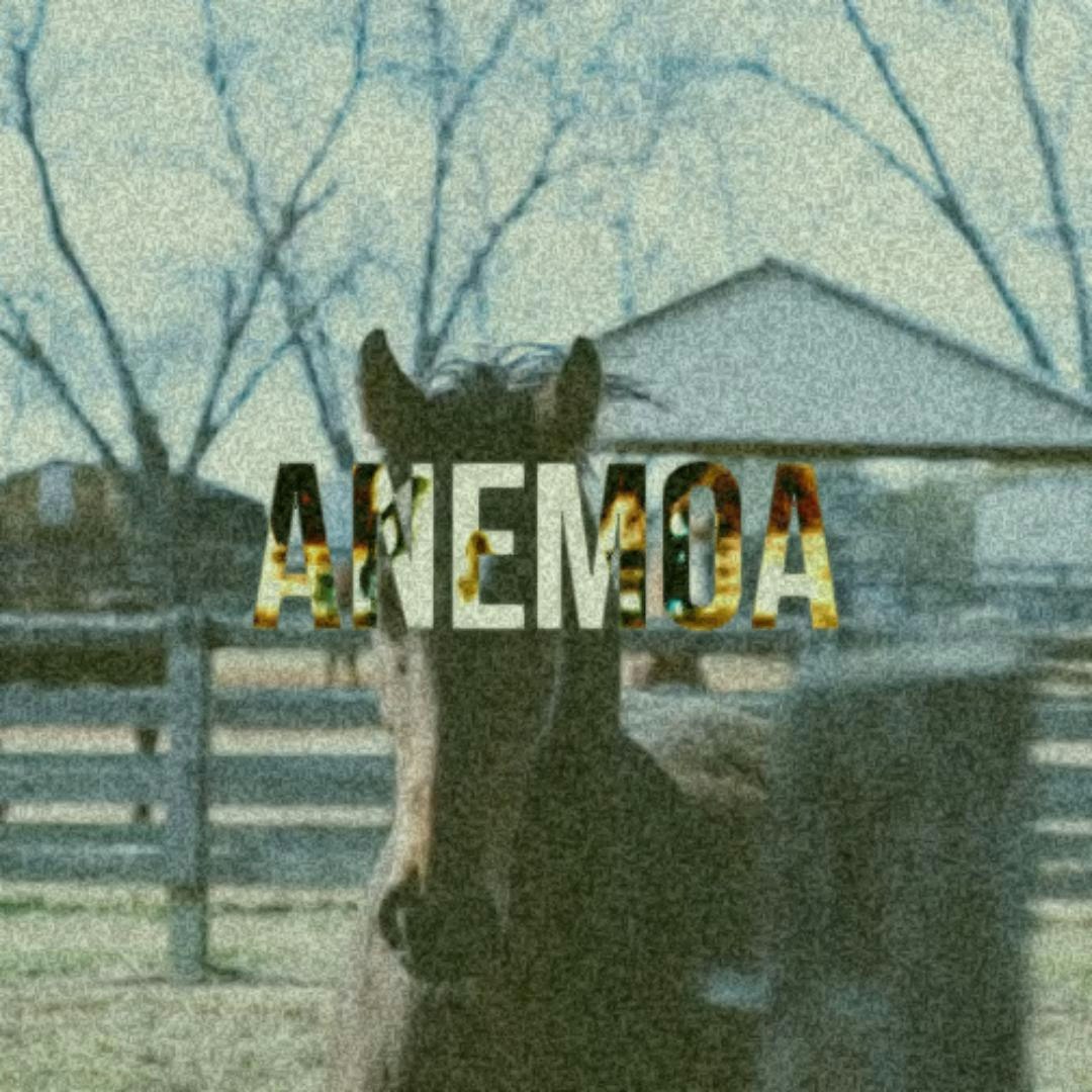 Beatsee gallery image