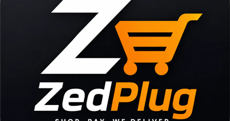 ZedPlug screenshot 1