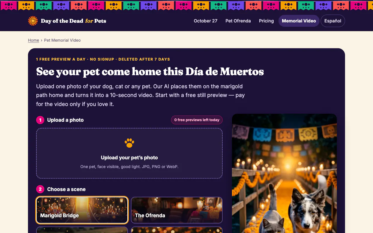 Day of the Dead for Pets gallery image