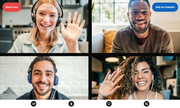 Netlines gallery image