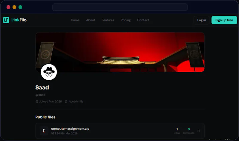 LinkFilo screenshot 5