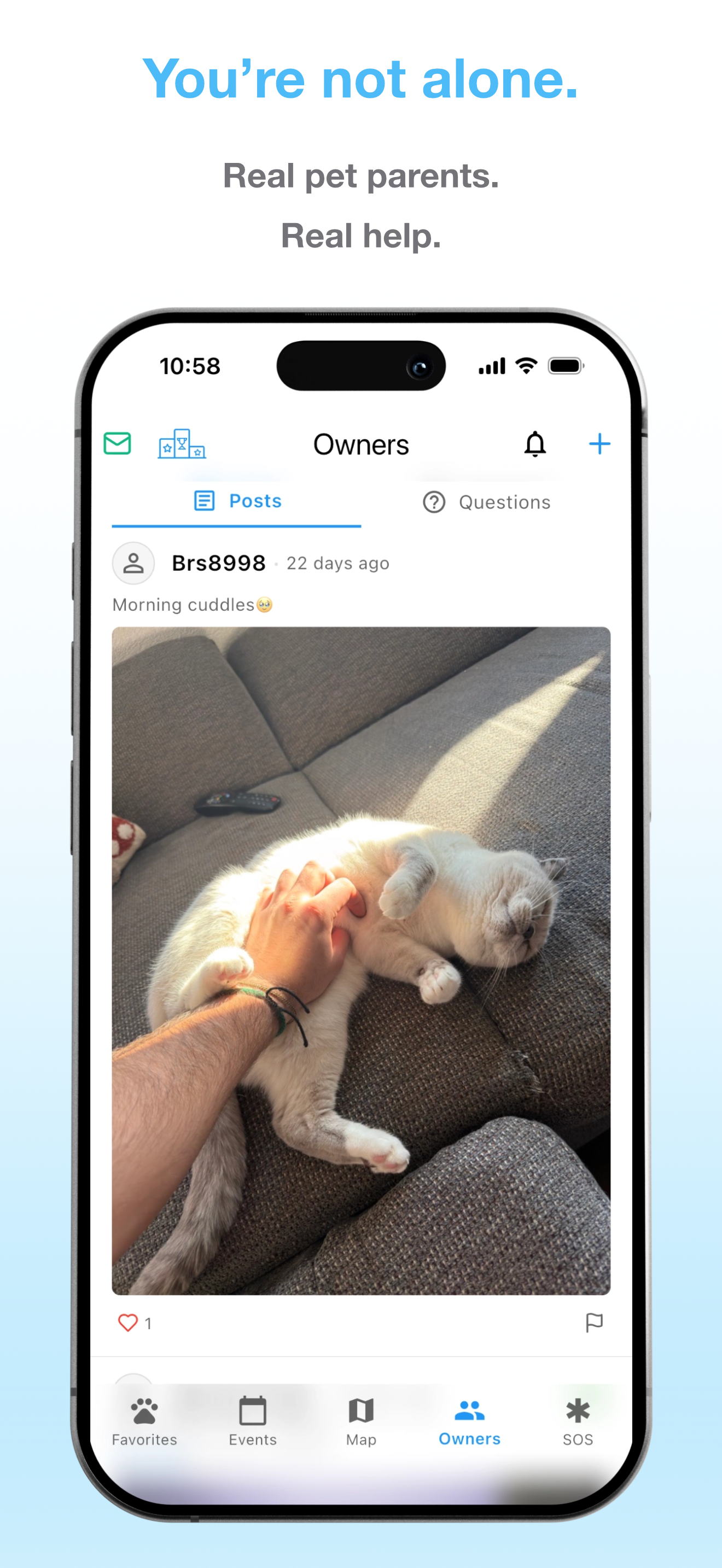 Little Pet gallery image