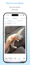 Little Pet gallery image
