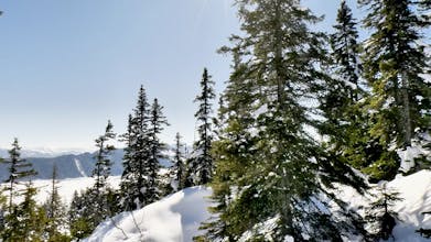 CouchTrip gallery image