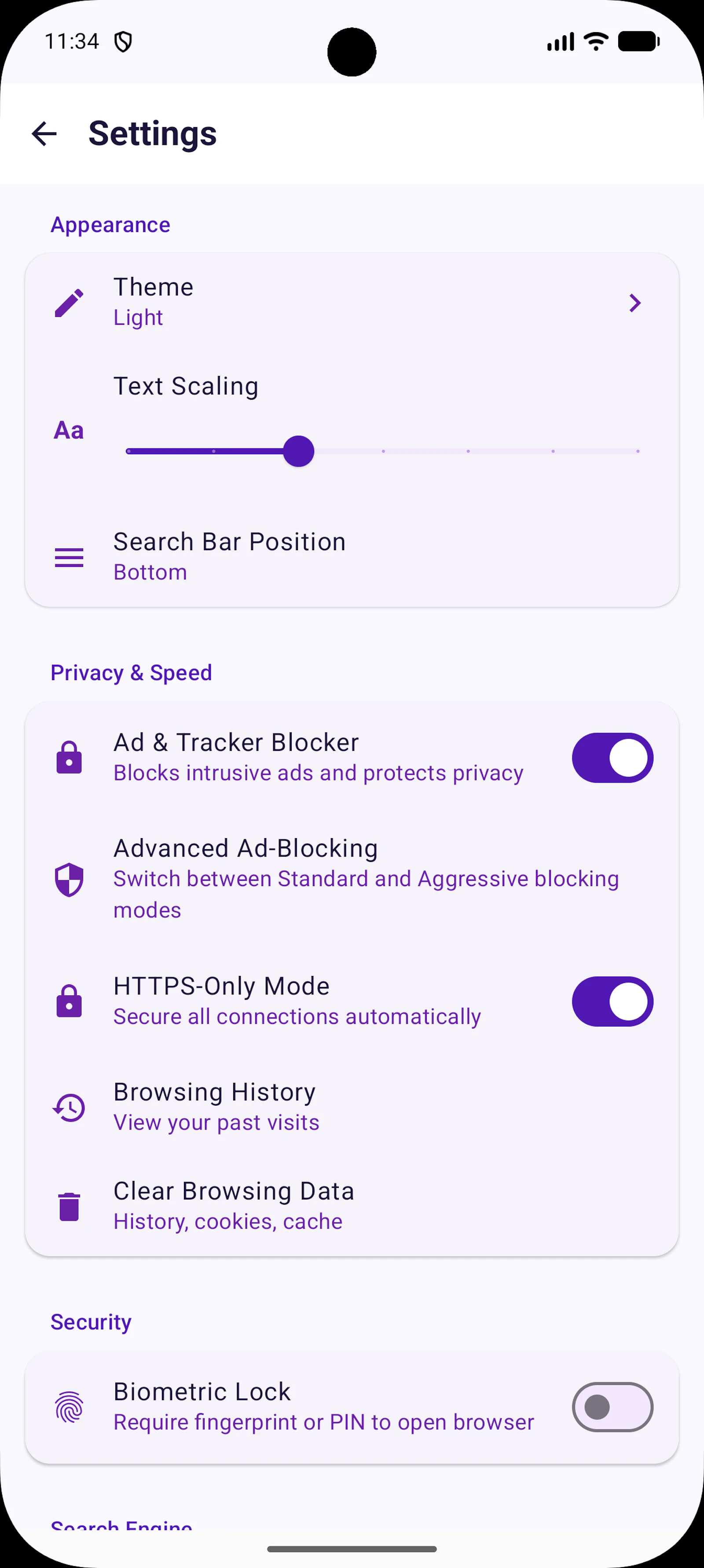 Porus Browser screenshot 9
