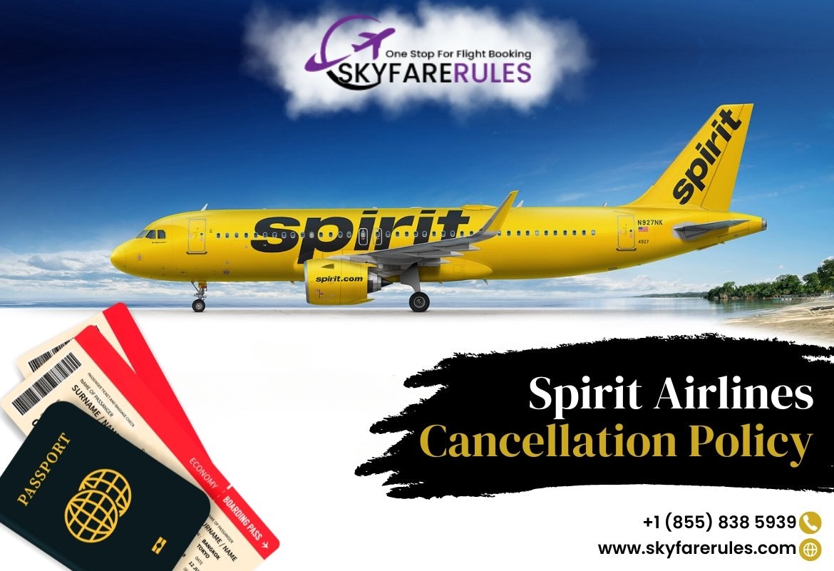 Правила неба - Какова политика отмены авиалиний Spirit Airlines медиа 1