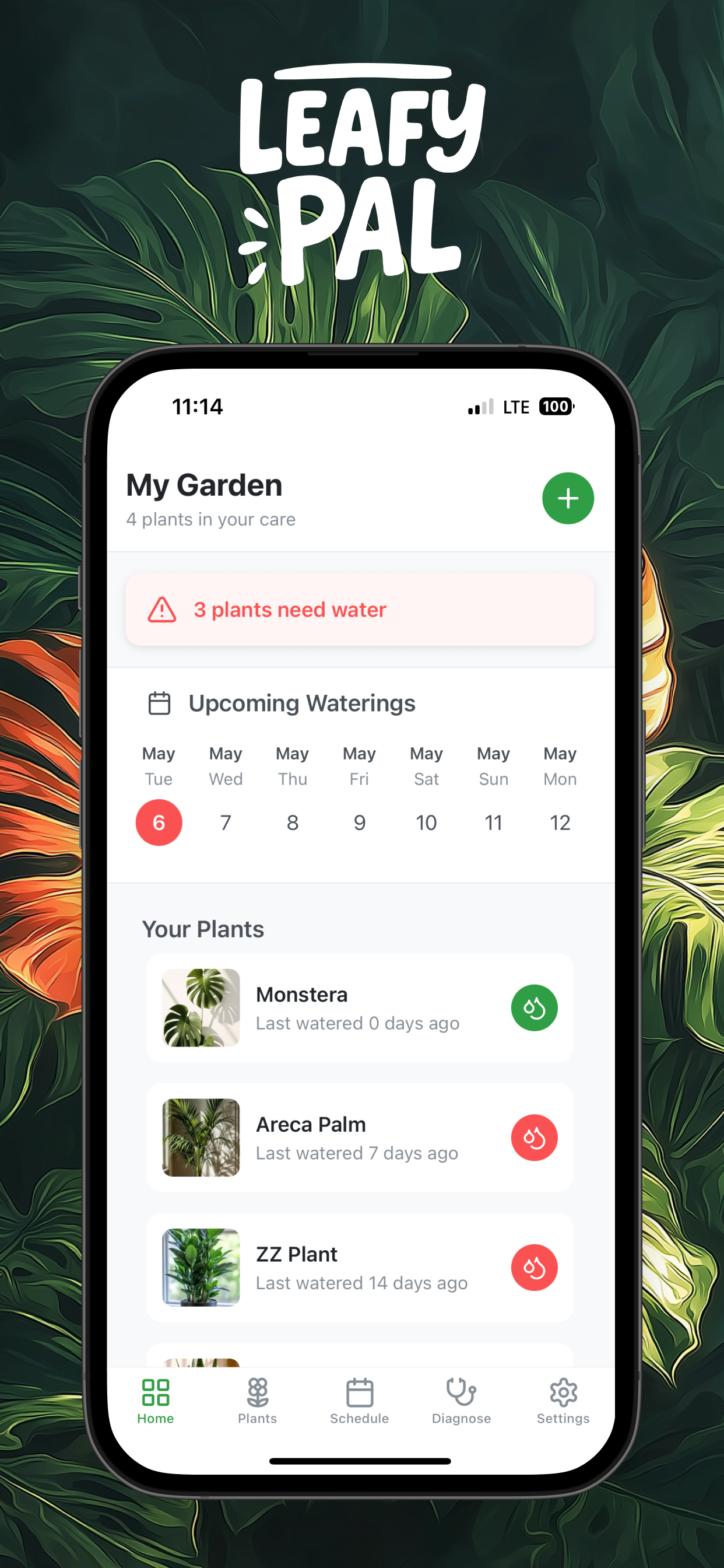Leafypal media 1