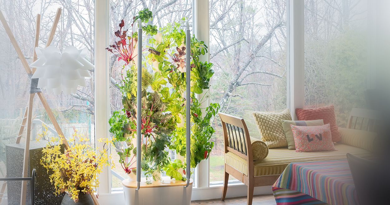 Gardyn gallery image