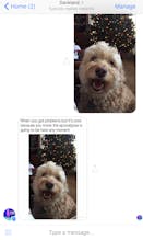 Dankland gallery image