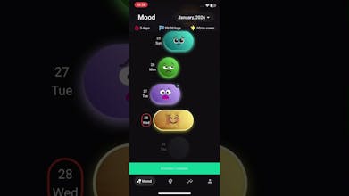 LetsFancy Joy: Track Mood & build belief gallery image