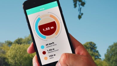 Bringy gallery image