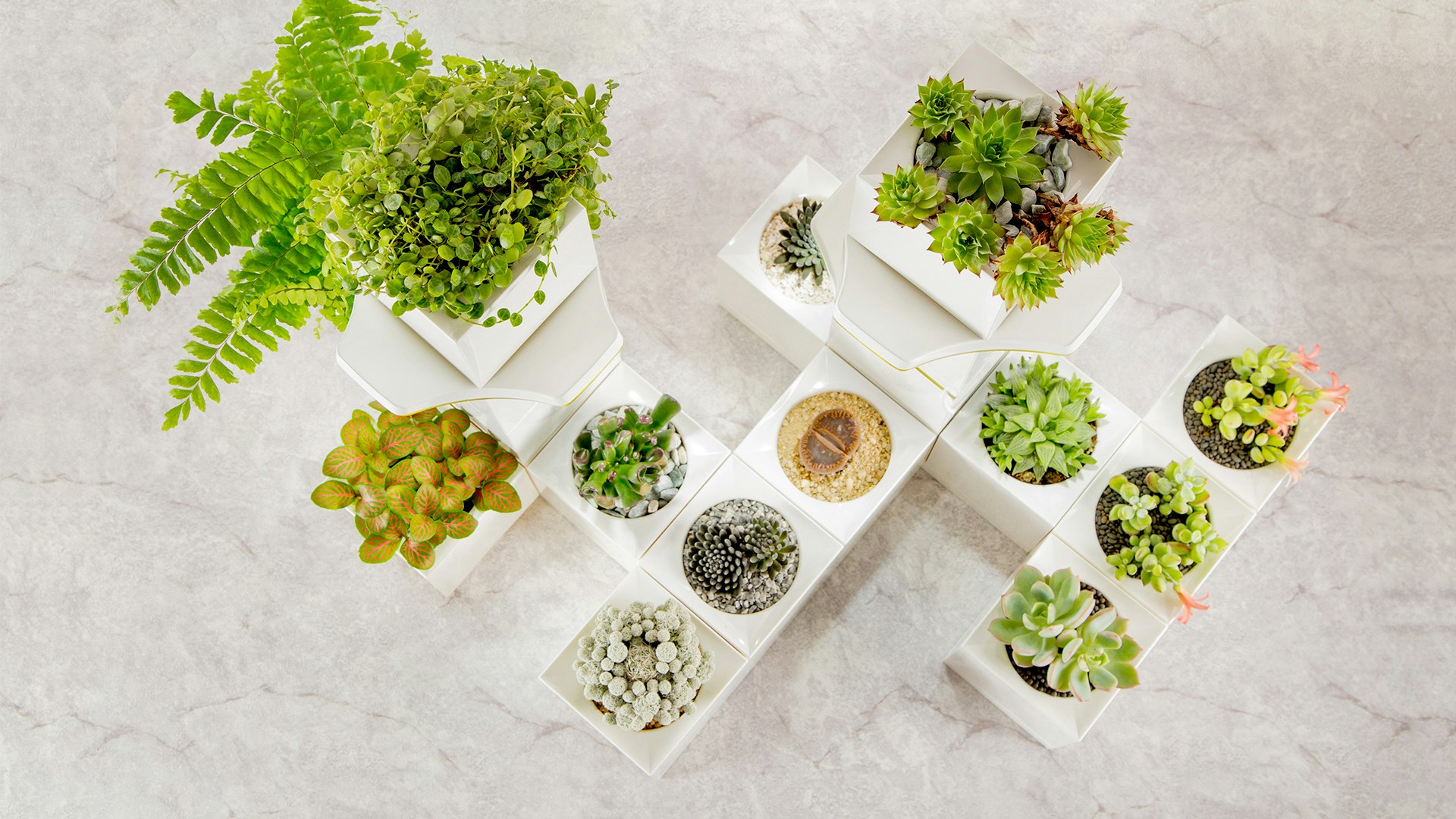 LeGrow gallery image