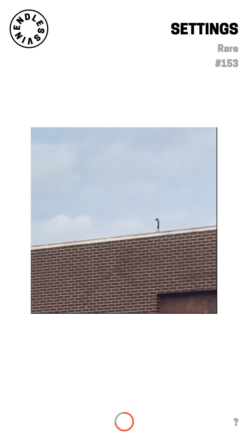 Endless Vine gallery image