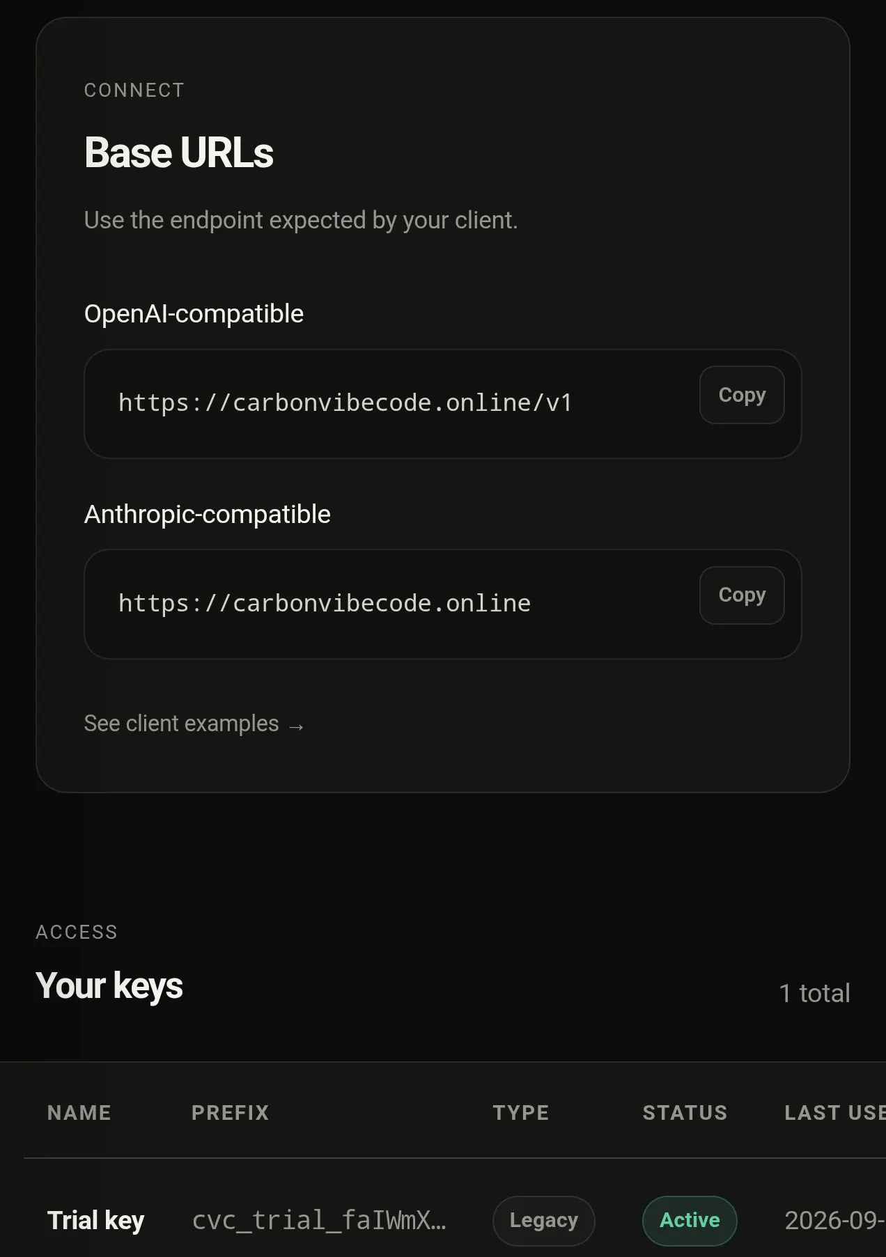CarbonVibeCode -Multi Model API access  gallery image