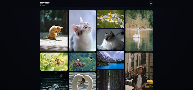 Galleryize screenshot 6