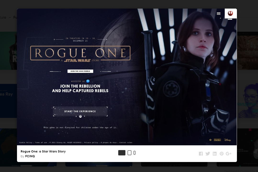 Design Boards gallery image