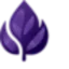 Purple Leaf