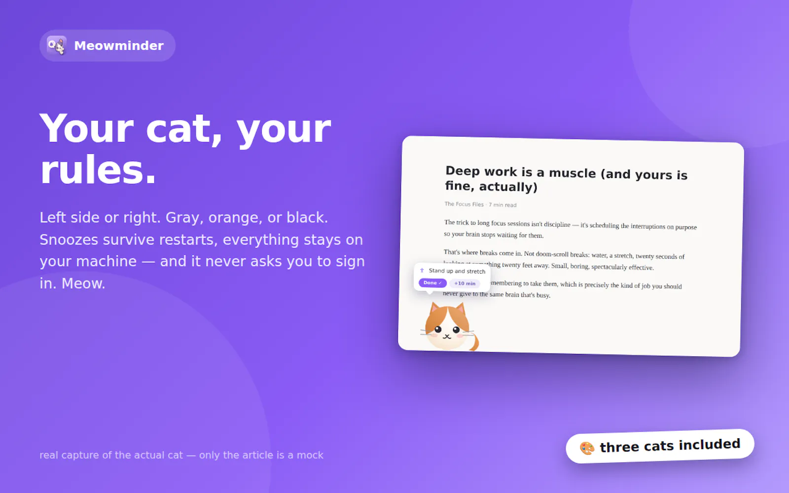 Meowminder screenshot 3