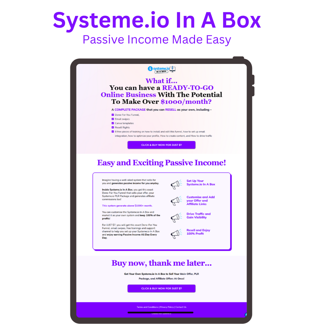 상자에 Systeme.io- 바이러스 성 깔때기 - 수동 소득을위한 준비된 온라인 비즈니스 미디어 2