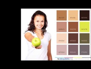 Color Palette gallery image