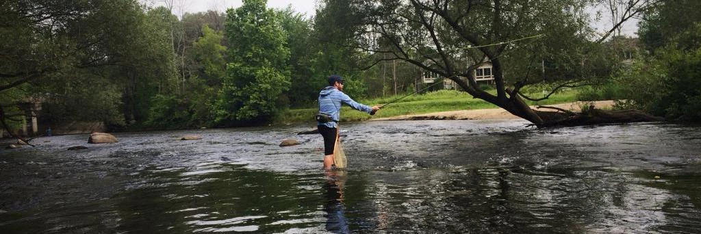 Alex Carpenter cover