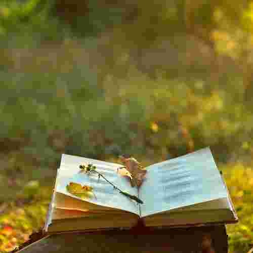 Gerador de título do livro de poesia