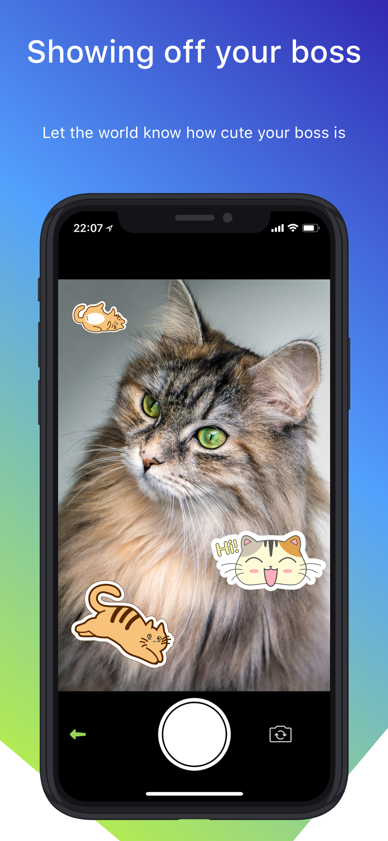 KittyKrush gallery image